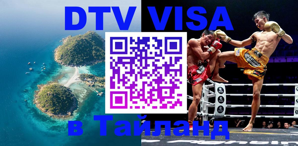 Оформление DTV визы под ключ: стоимость и тарифы, только загранпаспорт - 19.11.2025 